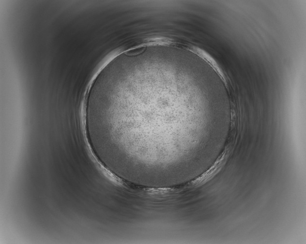 X0000116620859200912181303