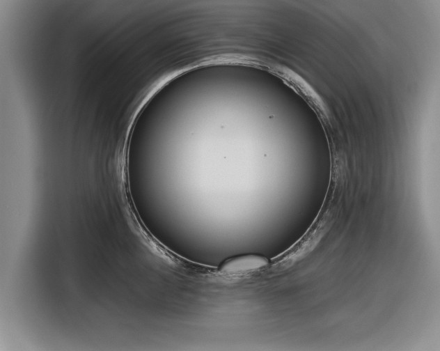 X0000116620860200912181303