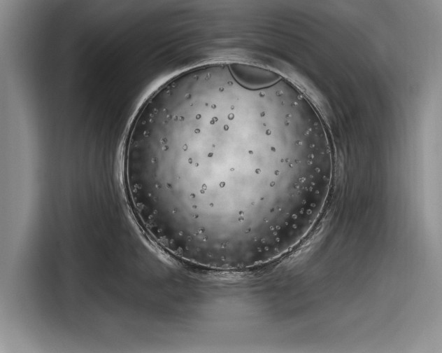 X0000116620862200912181303