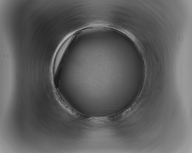 X0000116620864200912181303