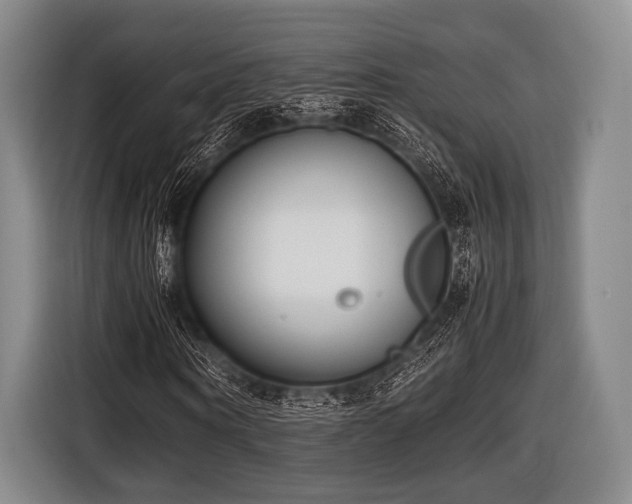 X0000116620866200912181303