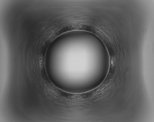 X0000116620867200912181303