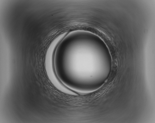 X0000116620869200912181303