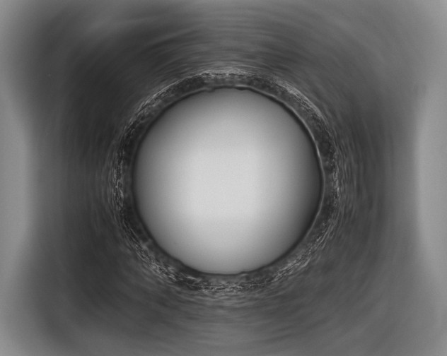 X0000116620870200912181303