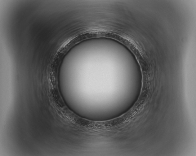 X0000116620871200912181303