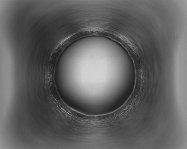 X0000116620872200912181303