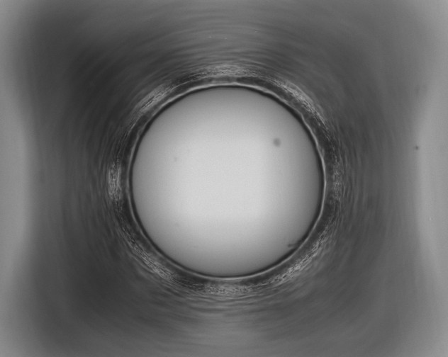 X0000116620873200912181303