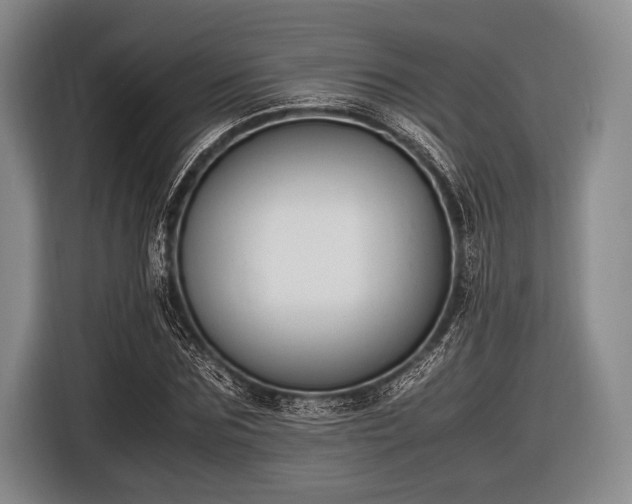 X0000116620875200912181303