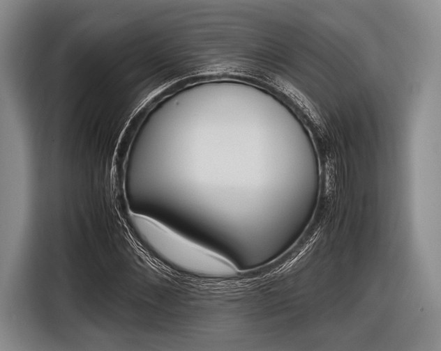 X0000116620876200912181303