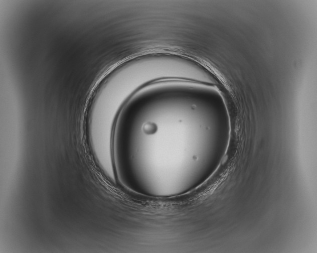 X0000116620877200912181303