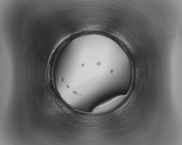 X0000116620878200912181303