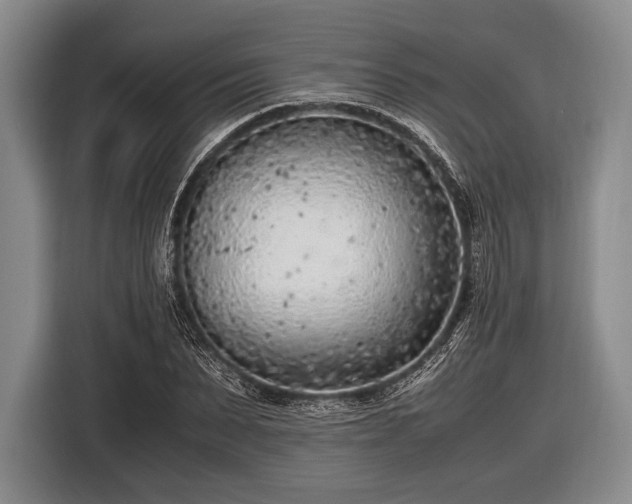 X0000116620879200912181303