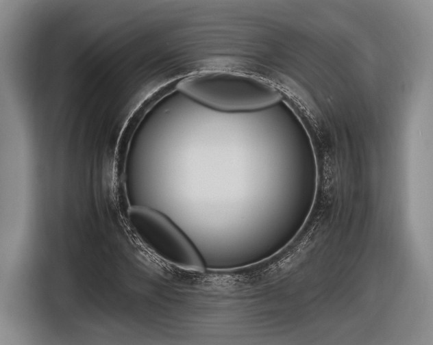 X0000116620880200912181303