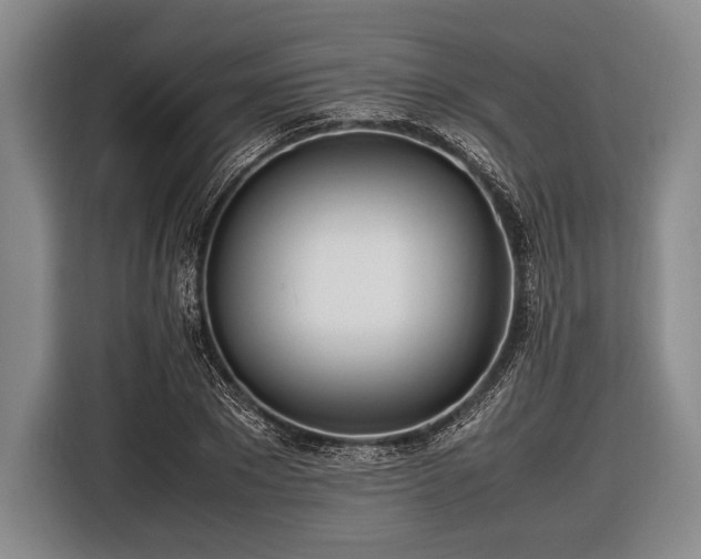 X0000116620881200912181303