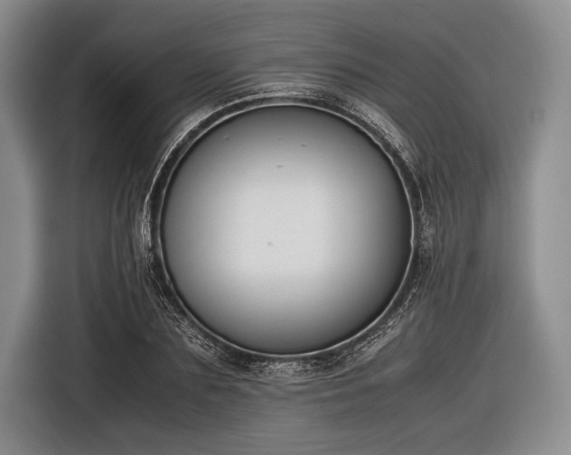 X0000116620883200912181303