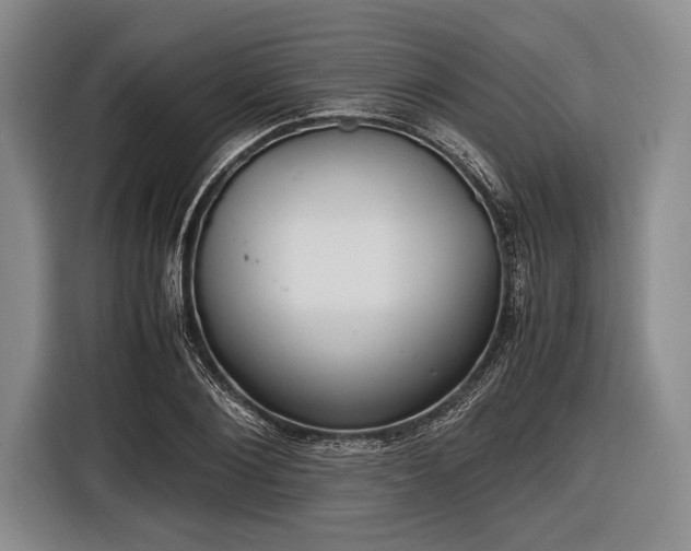 X0000116620884200912181303