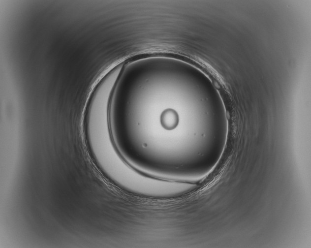 X0000116620885200912181303