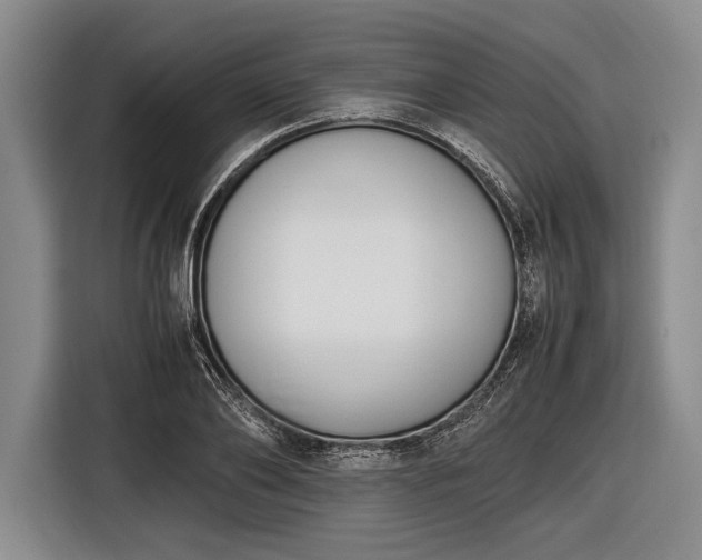 X0000116620886200912181303