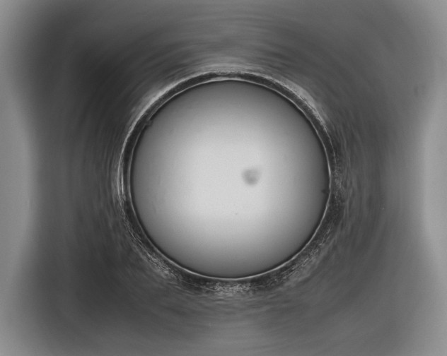 X0000116620887200912181303