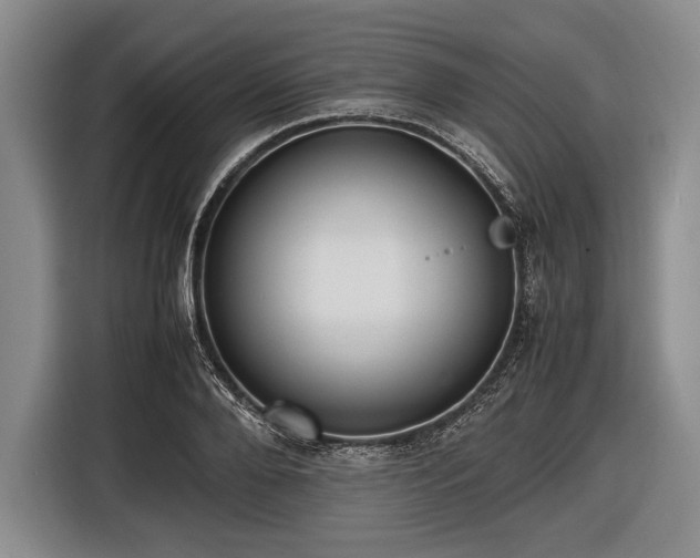 X0000116620888200912181303