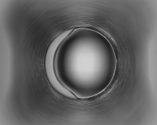 X0000116620889200912181303