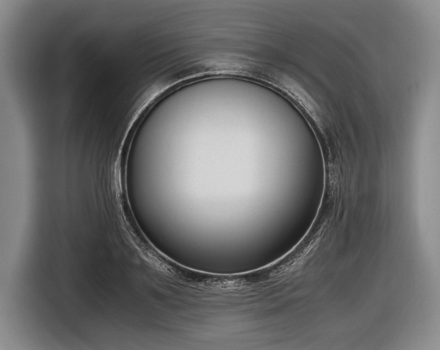 X0000116620891200912181302