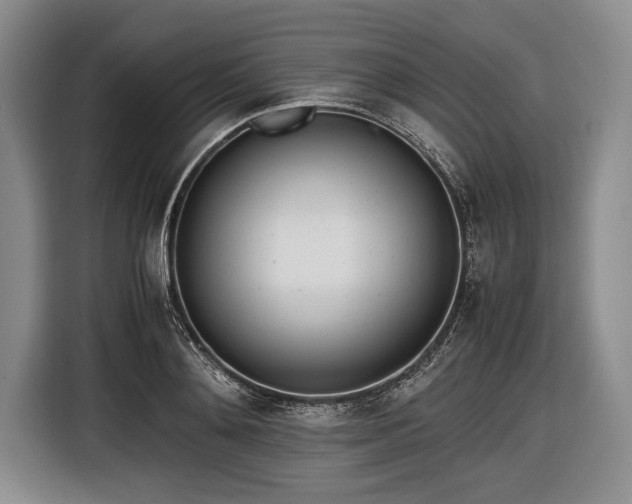 X0000116620892200912181302