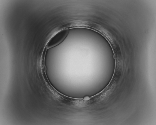 X0000116620893200912181302