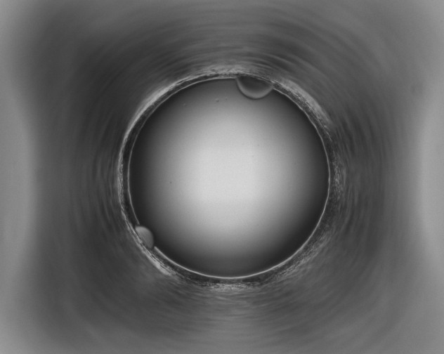 X0000116620894200912181302