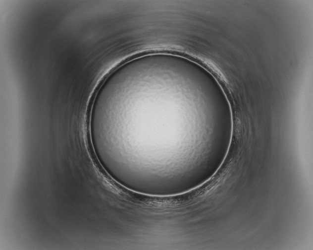 X0000116620895200912181302