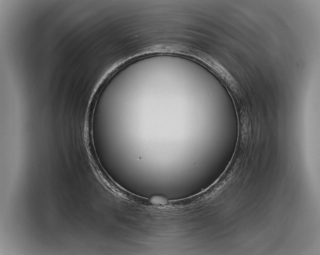 X0000116620896200912181302