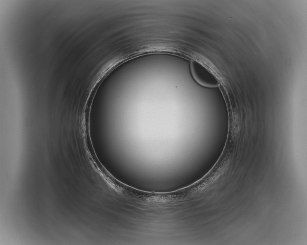 X0000116620898200912181302