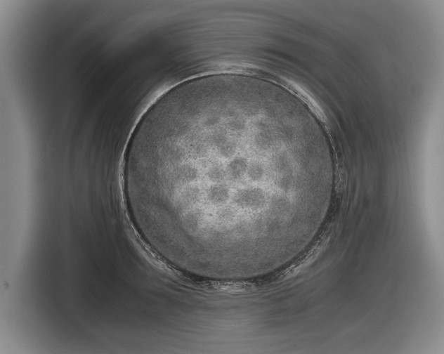 X0000116620899200912181302