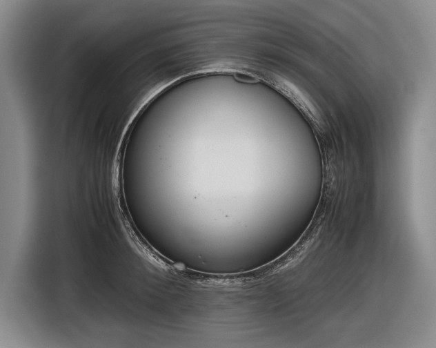 X0000116620900200912181302