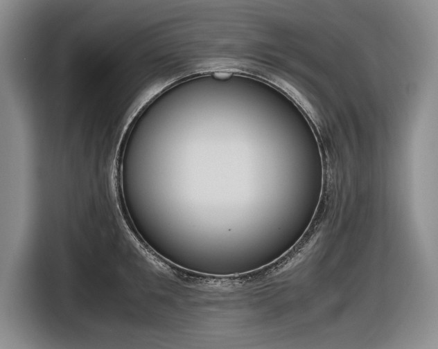 X0000116620901200912181302