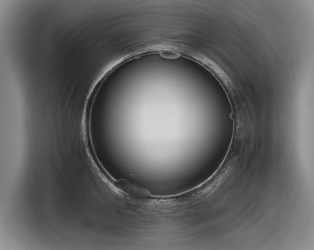 X0000116620902200912181302