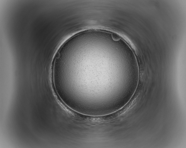 X0000116620903200912181302