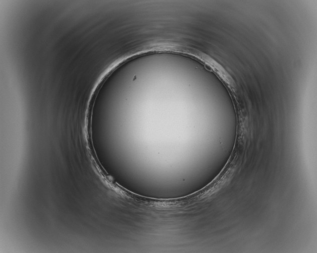 X0000116620904200912181302