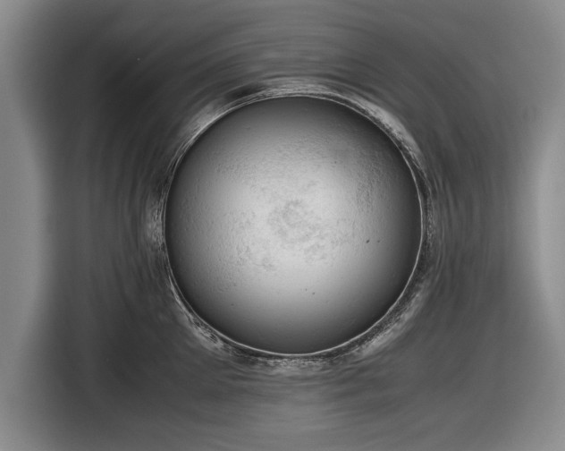 X0000116620905200912181302