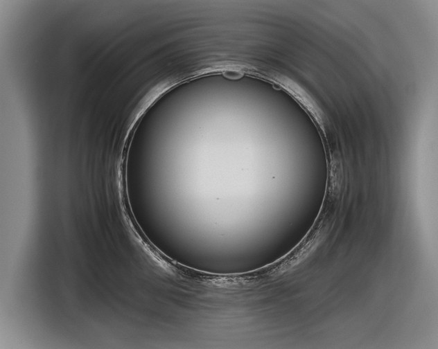 X0000116620906200912181302