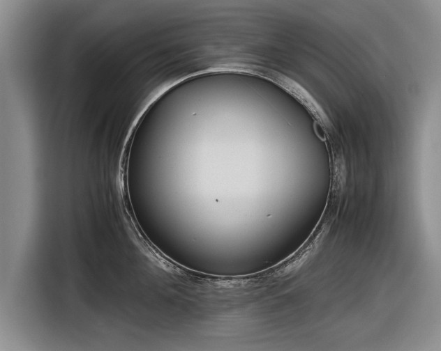 X0000116620908200912181302