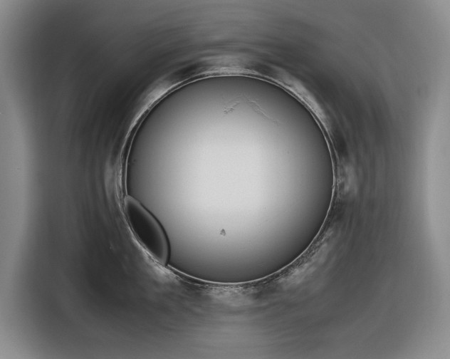 X0000116620909200912181302