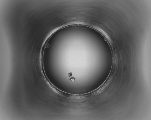 X0000116620910200912181302