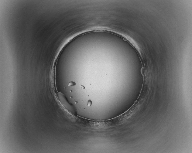 X0000116620911200912181302