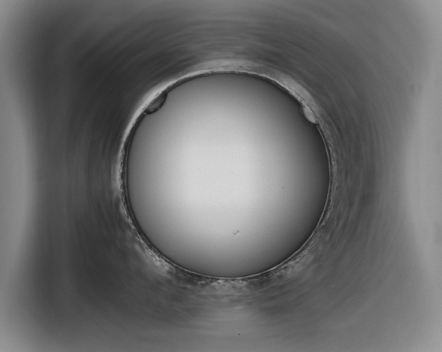 X0000116620912200912181302