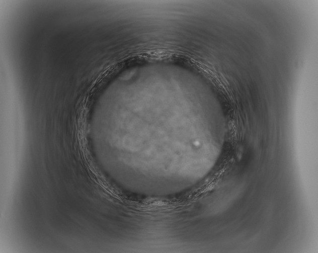 X0000116620913200912181302