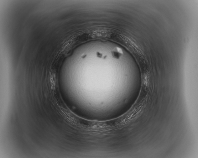 X0000116620915200912181302