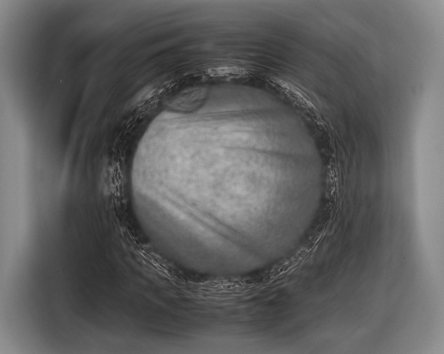 X0000116620917200912181302