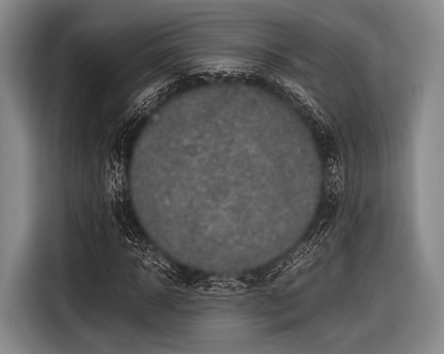 X0000116620918200912181302