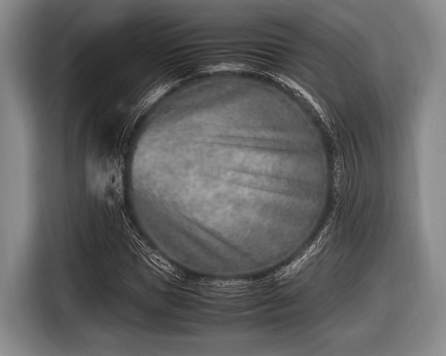 X0000116620921200912181302